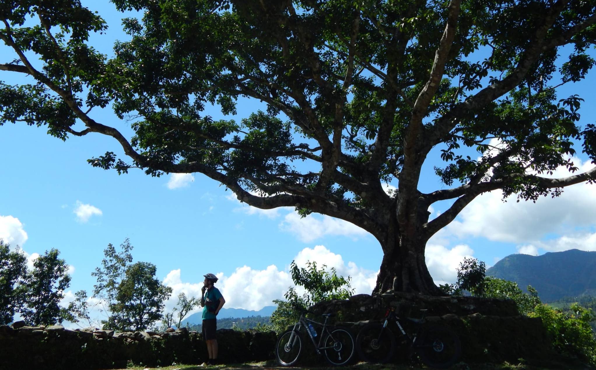 header image
